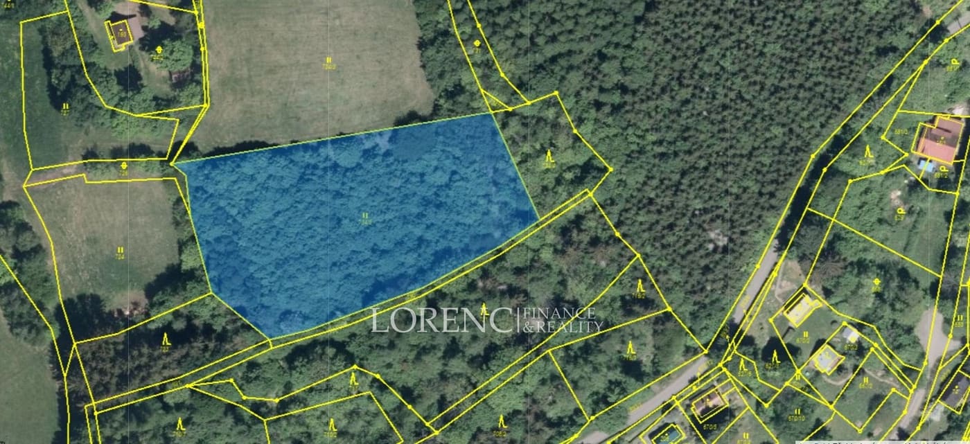 Prodej, Pozemky - trvalý travní porost, 7.125 m² - Bystré